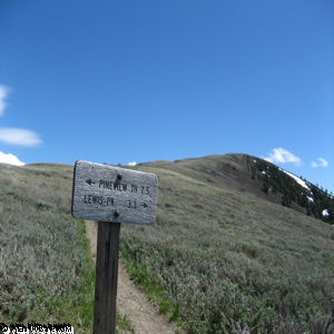 Trail Split along North Ogden Divide