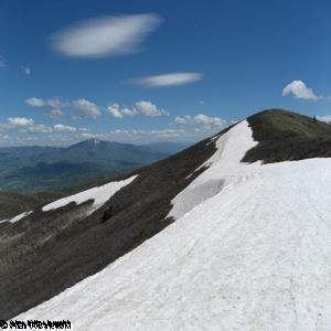 Snow Field Along The North Ogden Divide Trail