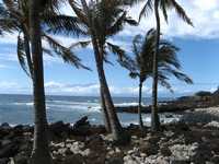 HawaiiMarch2009