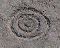 Waikoloa Beach Petroglyphs