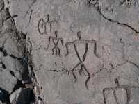 Waikoloa Beach Petroglyphs