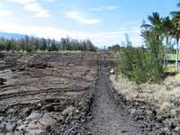 Waikoloa Beach Petroglyphs