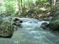 The Brook at Chuck's